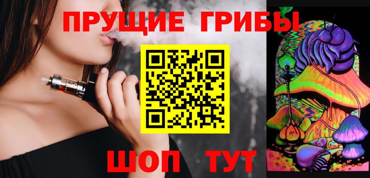 Псилоцибиновые грибы Psilocybe Кизляр
