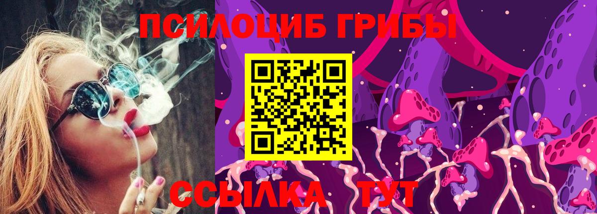 Кизляр  Псилоцибиновые грибы GOLDEN TEACHER  Вход с VPN 